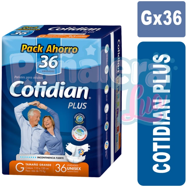 Cotidian Plus Gx36